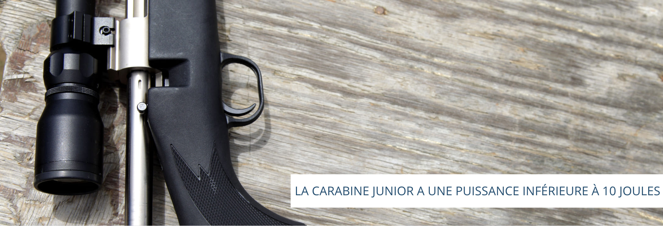 https://www.fusil-calais.com/img/cms/page-cms/carabine-junior-inferieure-a-10-joules.jpg